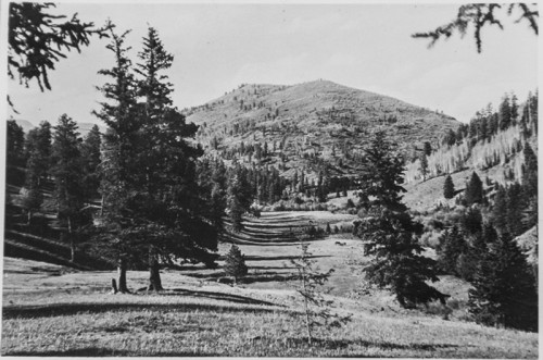 San Antonio Mountain in Jemez--Bond Cattle Ranch.Used with permission from files of Sandoval County Historical Society.
